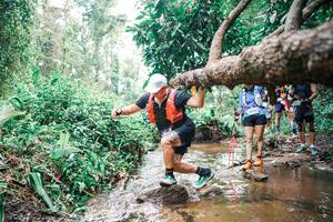 BIB: 
                            <button type="button" onclick="openModal(25375658)" class="btn btn-primary btn-sm float-right btn-popup" data-toggle="modal" data-target=".modal-high-quality">
                        <i class="fas fa-shopping-cart"></i> Add to Cart
                    </button>
                                            <button type="button" onclick="isThisMe(25375658, true)" class="btn btn-success btn-sm float-right btn-popup btn-isme hidden" data-toggle="tooltip" data-placement="bottom" title="นี่คือรูปของคุณใช่ไหม คลิกที่นี่เพื่อเอาเข้าอัลบั้ม">
                        <i class="fas fa-plus"></i> Add to album
                    </button>
                    <button type="button" onclick="isThisMe(25375658, false)" class="btn btn-warning btn-sm float-right btn-popup btn-isnotme hidden">
                        <i class="fas fa-ban"></i> Remove from album
                    </button>